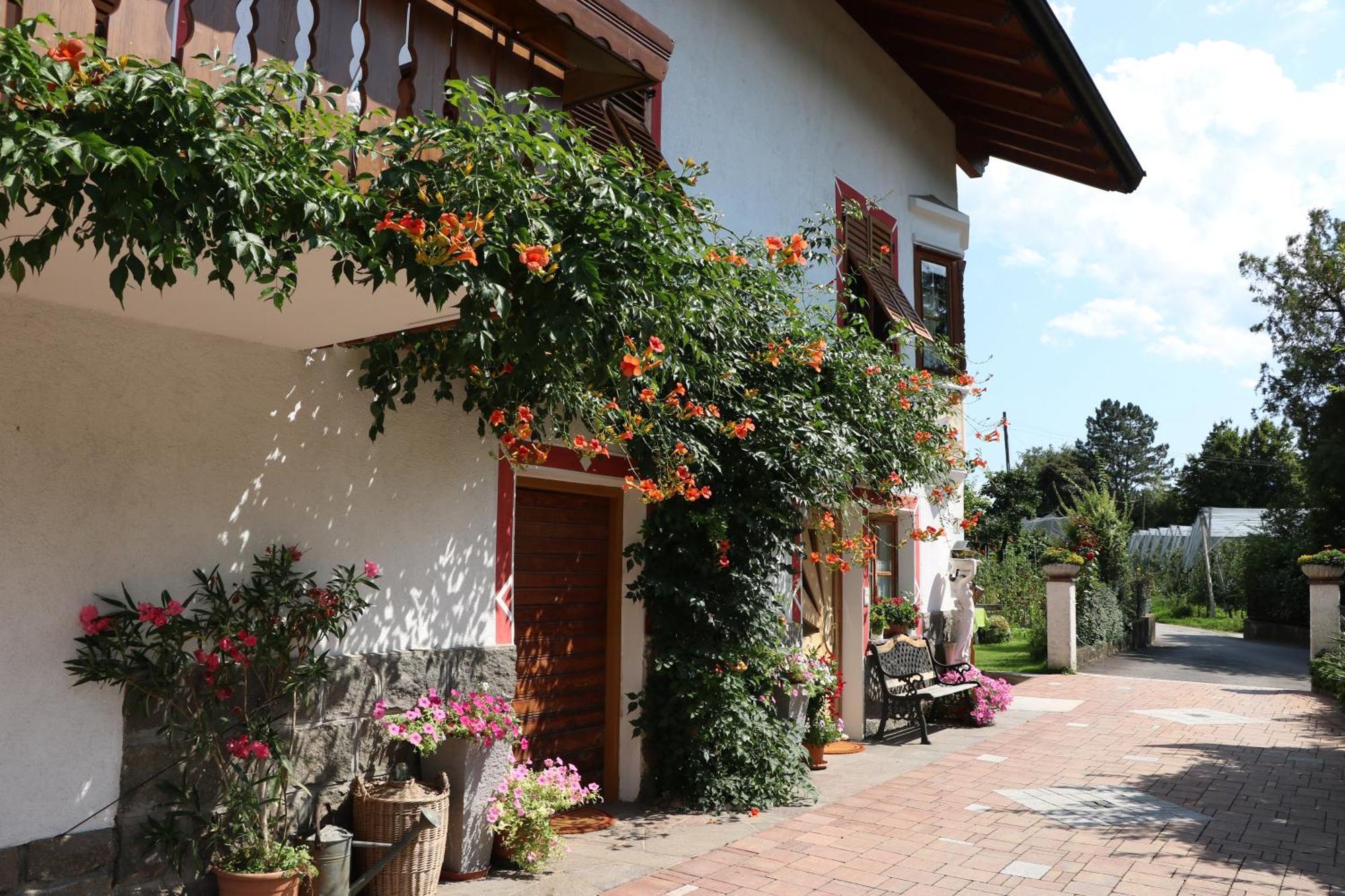 Alloggio per agriturismo Jaegerheim